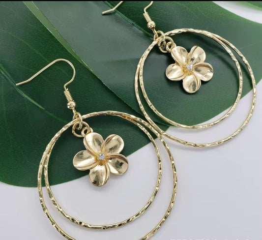 Gold Double Hoop Earrings