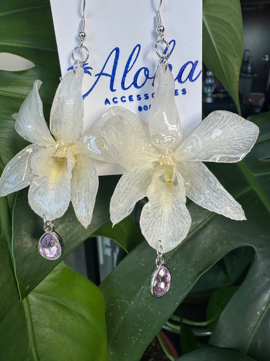 White Orchid with colorful Gem